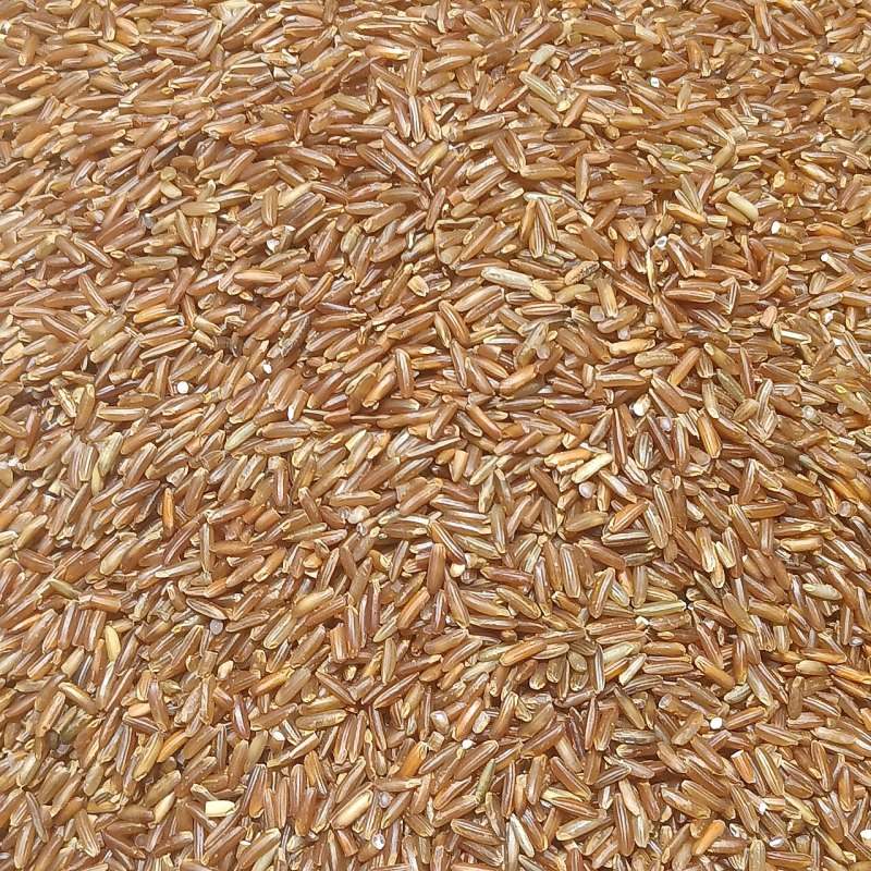 লাল চাল (Brown Rice)